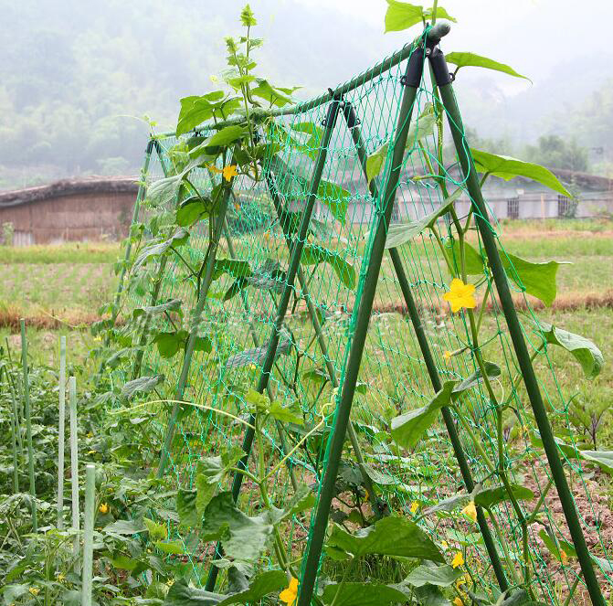 Nylon-Trellis-Netting-Plant-Support-for-Climbing-Plants-Vine-and-Veggie-Trellis-Net-2-95Ft-x Nylon-Trellis-Netting-Plant-Support-for-Climbing-Plants-Vine-and-Veggie-Trellis-Net-2-95Ft-x