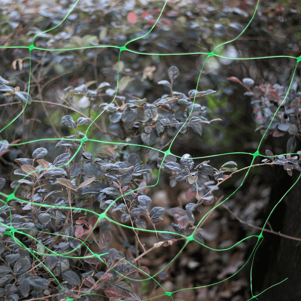 bean cucumber climbing net Διπλές αναρρίχησης αγγουριού φασολιών