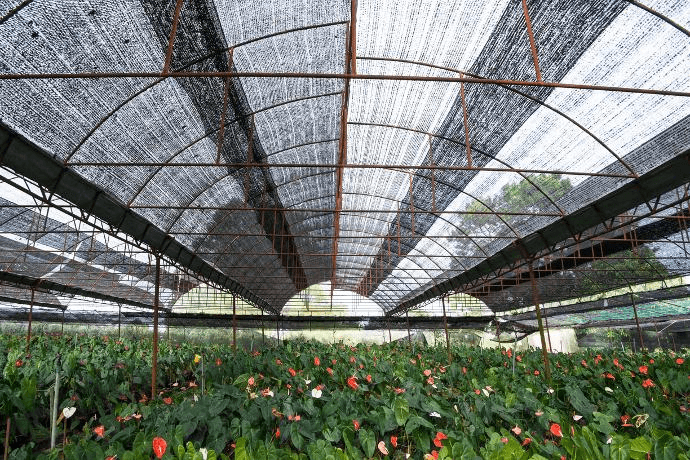 shade cloth σκιά πανί