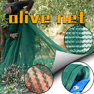 Δίχτυ ελιάς για τη γεωργία 100% HDPE Πράσινο Δίχτυ Συγκομιδής Χρώματος