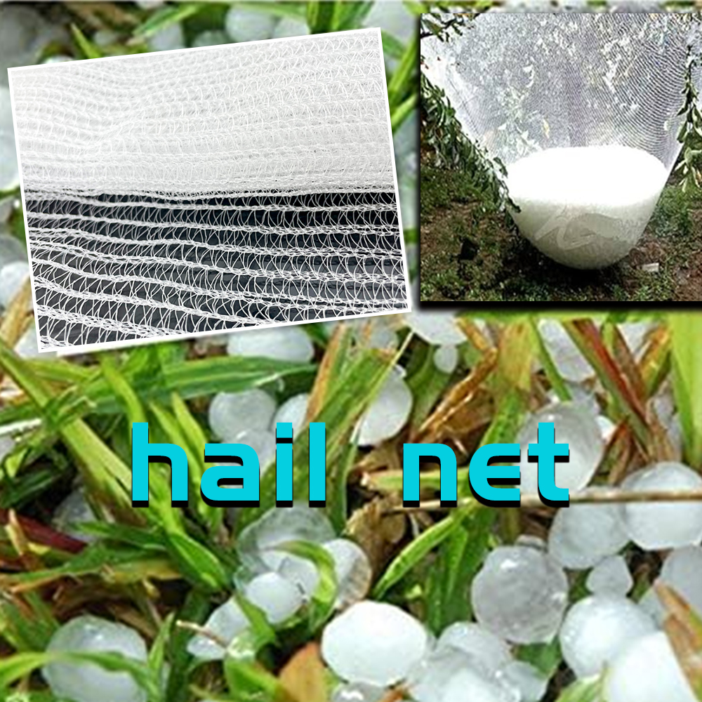 Γεωργικό HDPE Πλαστικό Αντιχαλαζικό Διχτυωτό Δίχτυ Λευκό Χαλαζοβόλο Δίχτυ 
