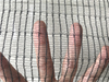 Επεξεργασμένο με UV HDPE 50GSM Μαύρο Anti Bee Net