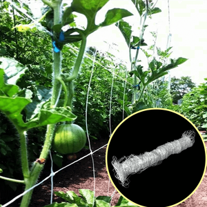 Δίχτυ στήριξης φυτών Καφασωτό κήπου για αναρρίχηση φυτών εξωτερικού χώρου