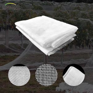 80GSM White Greenhouse Αντινωτά δίχτυ στη Μαλαισία