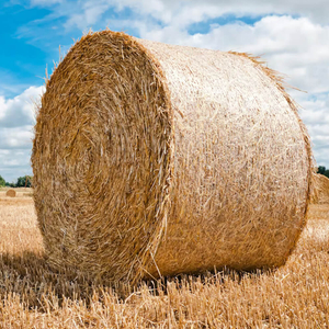 Pallet Bale Net Χονδρικό δίχτυ περιτυλίγματος ενσιρώσεως
