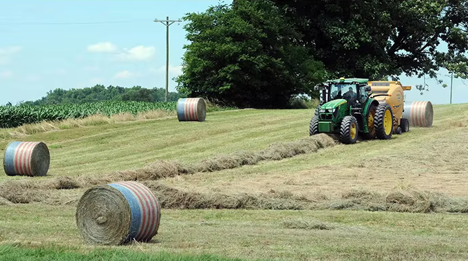 δίχτυ για δέματα παλετών