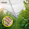 China Manufactory Hail Mesh Hail Protection Net 60g/m2-70g/m2 for Greenhouse