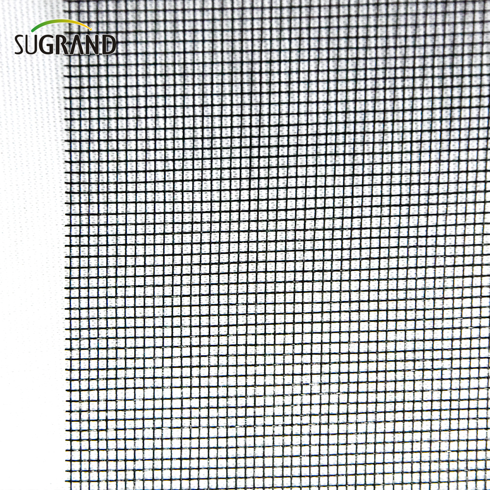 Προμηθευτές πλέγματος εντόμων 110gsm Anti Insect Fiberglass Screen Mesh