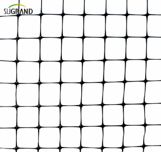 δίχτυ πουλιών