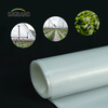 Εργοστασιακό Διαφανές Πλαστικό Θερμοκηπίου 190mic Φιλμ Θερμοκηπίου για Σπορόφυτα Κήπου