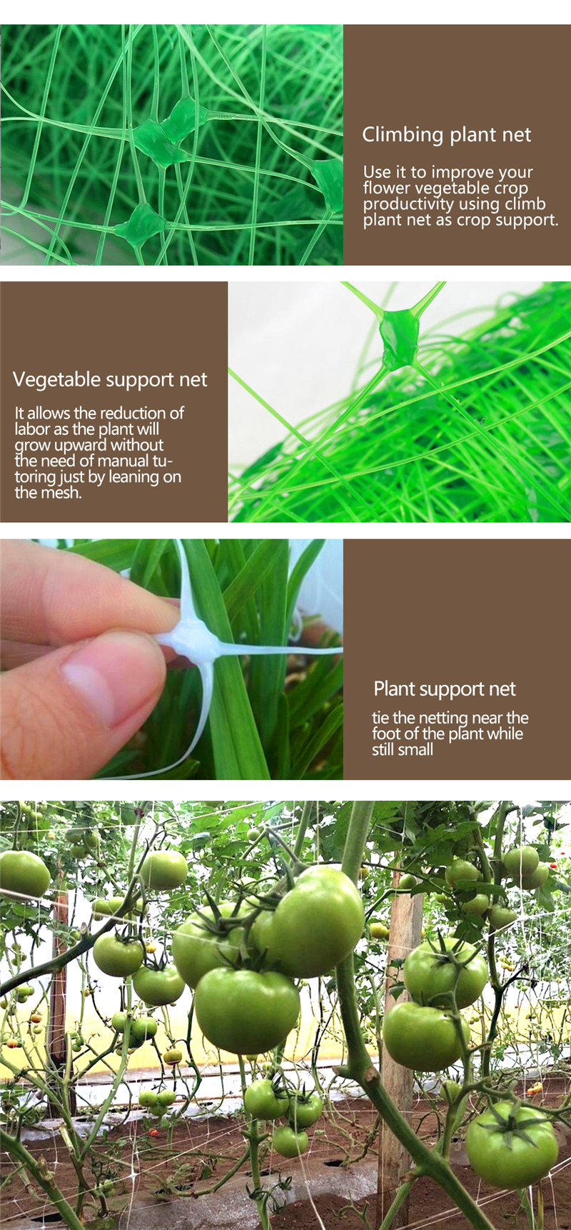 δίχτυ στήριξης αναρριχώμενων φυτών