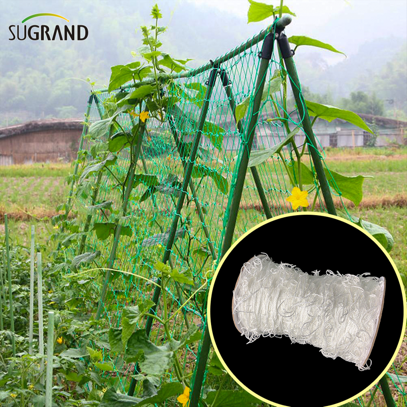 Νέο δίχτυ στήριξης φυτών με πλέγμα αναρρίχησης λευκού φυτού HDPE