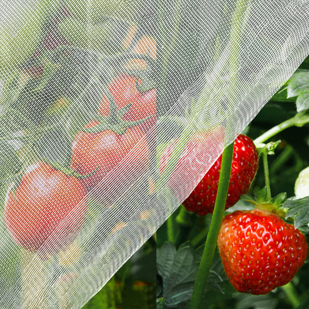 Αντιπαράθετο δίχτυ εντόμων HDPE 40 50 Mesh Διαφανές λευκό