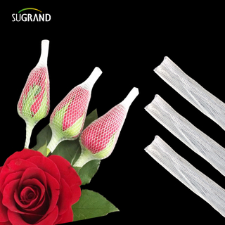 Υψηλής ποιότητας τριαντάφυλλο λουλούδι Πλαστικό δίχτυ ροζ μπουμπουκιών