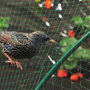 Anti Bird Net for Orchard And Farm