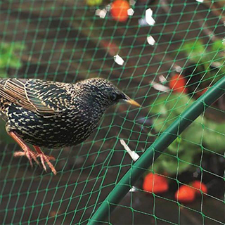 Anti Bird Net for Orchard And Farm
