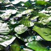 Τεχνητά φύλλα φοίνικα Τεχνητά φύλλα για κήπο