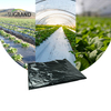 Φτηνή τιμή εργοστασίου Μαύρο πλαστικό επίστρωμα βιοαποικοδομήσιμο φιλμ Uv για γεωργικά
